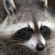 Shred_stick - steam id 76561197970950287