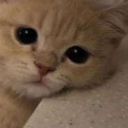 好宝宝按时吃饭