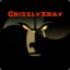 GrizzlyXray