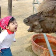 BrianArtex - steam id 76561197963159479