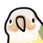 kikimo
