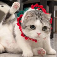 别上去一打三好吗