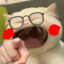 海米猴haim1hou.S
