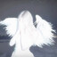 Lighter's avatar