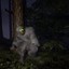 KOCAYAK