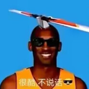 洛杉矶坠机王颗粒