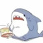 福建炸鱼员 Mr.Shark.