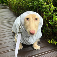 AED^ymaoCR7MENTALITY