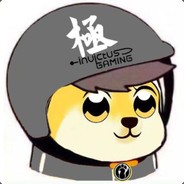 合鸟