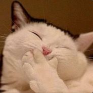 Languafe - steam id 76561197960479055