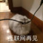 石山蓝