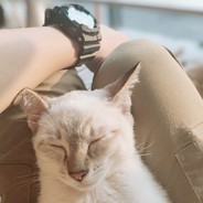 Shuangmu is not a forest.