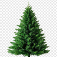 Ёлка(новогодния)