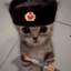 MilitaryCat