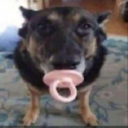 chopetas