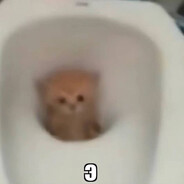 anutka - steam id 76561199596456108