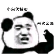 小鸟伏特加 来这么高