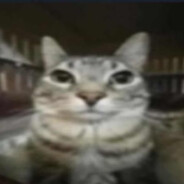 Employed Steam avatar