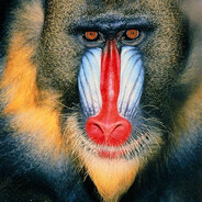 Mandrill avatar