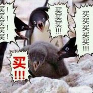 树上风景独好