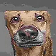 DJ kakashki - steam id 76561198972839801