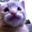 Flauschi_Snux's avatar