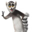 King Julien