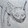 syv