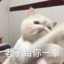 猪蹄