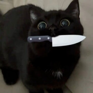 KillerKitten