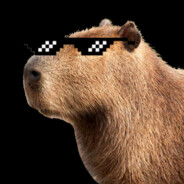 ✪CAPYBARA