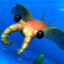 I`m an Anomalocaris