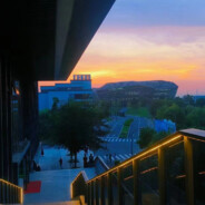 到底是为了什么