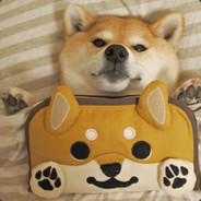 宇宙无敌鼹鼠大魔王