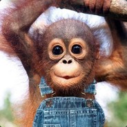 ErhoBey avatar