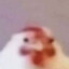 pablo
