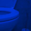 blue toilet