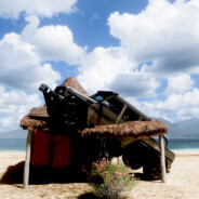 把秋裤拿来,马飞~