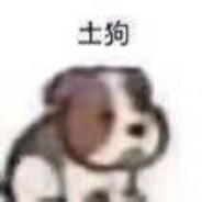 帅气的土狗