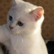 whitebaby