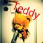 Teddy