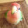 The birb known as Walter Melone