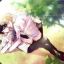 Ima Yaoi Fan..Problem?
