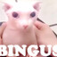Unseenfj