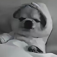 x1no - steam id 76561199483087904