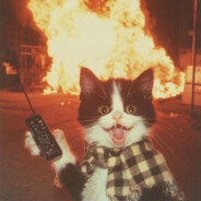 想和艾希小姐一起姓艾