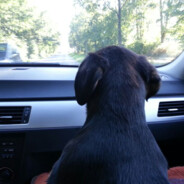 HECHT - steam id 76561198107877735