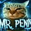 mr . penis