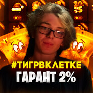 #тризинский