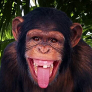 Мусорской_пёс_228